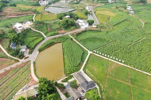 厲害了 宜賓這個(gè)縣被全國(guó)點(diǎn)名表?yè)P(yáng) 快看是你家鄉(xiāng)嗎