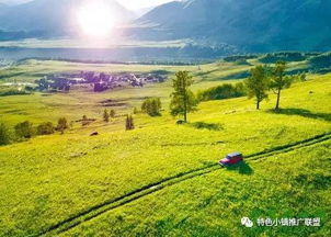 休閑農業總體規劃包括哪些要素