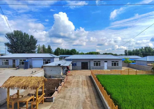 堅(jiān)持 農(nóng)文旅 融合發(fā)展 奏響鄉(xiāng)村振興 協(xié)奏曲