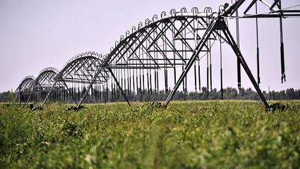 西部大開發10周年:設施農業促內蒙古成為&ldquo;天下糧倉&rdquo;