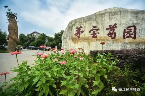 多項產(chǎn)品被列入國家星火計劃,鎮(zhèn)江這個旅游示范點厲害了