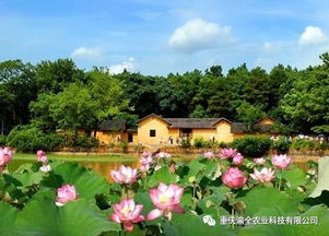 鄉(xiāng)村旅游 農(nóng)業(yè) 旅游 融合發(fā)展而衍生出的項目類型有這些