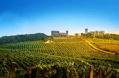 要火 2023江蘇省鄉(xiāng)村游精品出爐,盱眙這條旅游線路入選