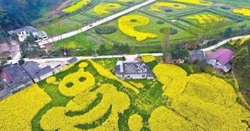 農(nóng)業(yè)最賺錢的一年要來了