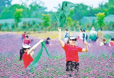邁向高質量旅游,景區如何破題?