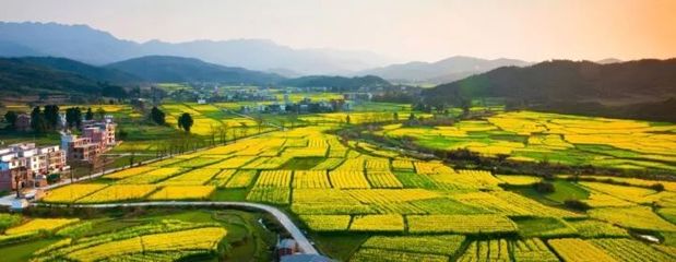 探討:如何鄉村振興?是靠農業主題公園還是田園綜合體項目?_旅游