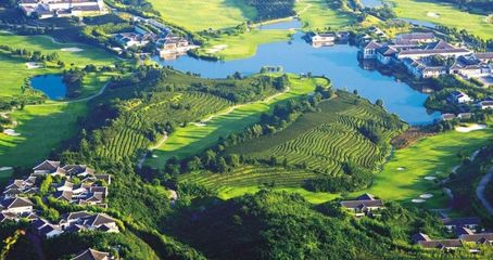 現代農業產業園:為什么能成為國家政策焦點?