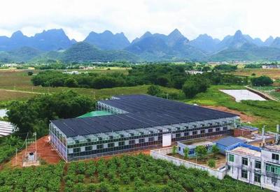 在工廠里種田!清遠(yuǎn)1個(gè)育秧中心=1.2萬畝田需求