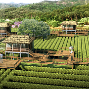 江西宜春天心茶園旅游綜合開發(fā)項(xiàng)目 - 北京東方創(chuàng)美旅游景觀規(guī)劃設(shè)計(jì)院-旅游地產(chǎn)、農(nóng)業(yè)旅游、古城古鎮(zhèn)、文化產(chǎn)業(yè)