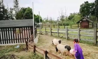 全國(guó)六大醉美田園綜合體爆點(diǎn)和模式分享