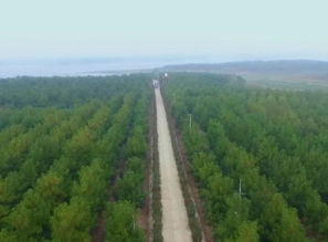 全椒加快現(xiàn)代農(nóng)業(yè)發(fā)展,走三產(chǎn)融合之路