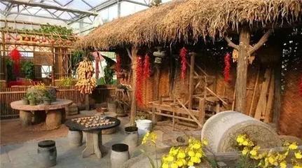 四種農(nóng)民致富的行業(yè),創(chuàng)新農(nóng)業(yè)、養(yǎng)殖業(yè)、農(nóng)產(chǎn)品加工業(yè)和農(nóng)村旅游