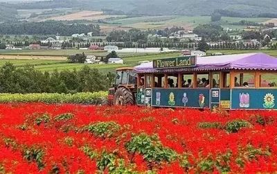 &ldquo;田園綜合體&rdquo;怎么搞?我們搜集了一些的經(jīng)驗(yàn)