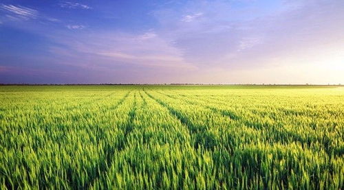 康養(yǎng)旅居 休閑農(nóng)業(yè) 旅游地產(chǎn),未來(lái)10年中國(guó)最大的投資機(jī)會(huì)