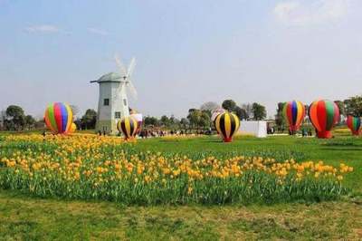 廣西現(xiàn)代特色農(nóng)業(yè)縣級示范區(qū)如何申報