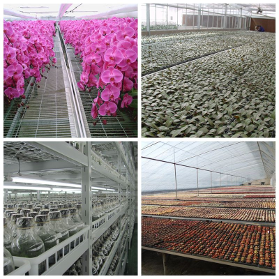 濟寧市科學技術局 縣區(qū)科技 踔厲奮發(fā) 篤行不怠--濟寧市(兗州)農(nóng)高區(qū)助力鄉(xiāng)村振興