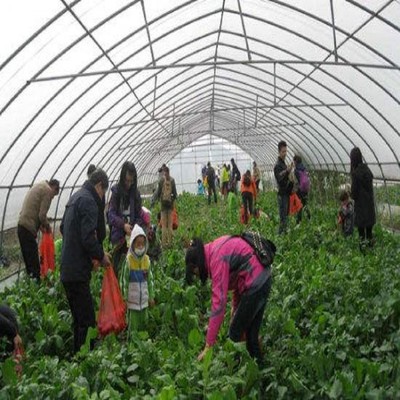 重慶市圣墾農業開發