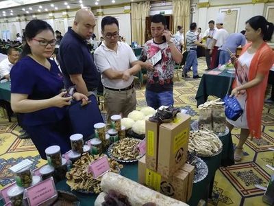 崇左市參加2018年廣西食用菌投資合作項目推介洽談會