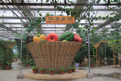 三十年鋪就&ldquo;三農&rdquo;致富路!石家莊農業綜合開發實施30周年成效顯著