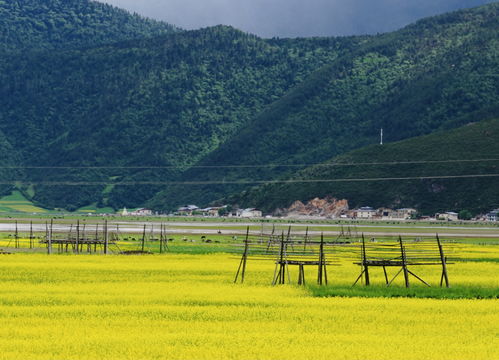 金江鎮村容村貌干凈整潔