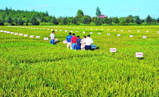 創新產業體系激發產業項目新動能