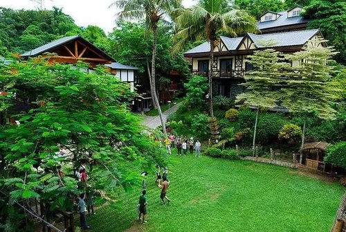 休閑農業 特色小鎮如何規劃設計與開發