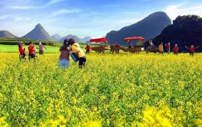 如何選址開發休閑農業?看鄉村旅游開發的7大模式,29種類型