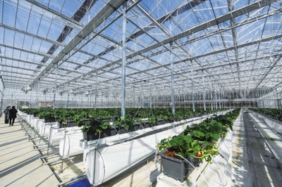 強化農業農村優先發展投入保障