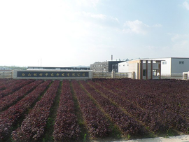 白山林村中藥開發加工廠正式投產運營