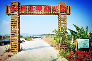 農業產業新玩法 看臺灣如何打造 休閑農業