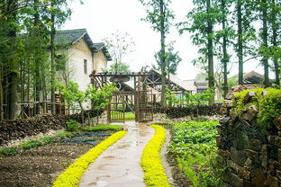 烏村 距離喧囂一步之遙,隱于鄉野,在我眼中卻剛剛好