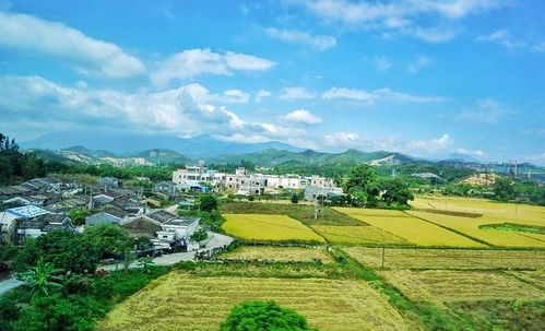 鄉村旅游開發中的市場區位選擇 策略與實踐