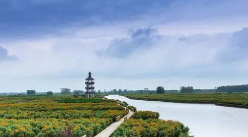 牛興化入圍全國休閑農(nóng)業(yè)和鄉(xiāng)村旅游綜合發(fā)展實(shí)力10強(qiáng)縣 農(nóng)業(yè)旅游開發(fā)的典范