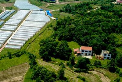 十九大時光 農業(yè)科技創(chuàng)新助力西藏民生改善與農業(yè)旅游開發(fā)