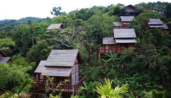 農業(yè)旅游開發(fā)新路徑 中國旅游民宿產業(yè)創(chuàng)新與生態(tài)發(fā)展論壇在海南舉辦