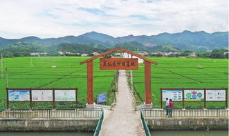 羅定泗綸鎮(zhèn) 農業(yè)旅游開發(fā)助推全省休閑農業(yè)與鄉(xiāng)村旅游示范鎮(zhèn)建設