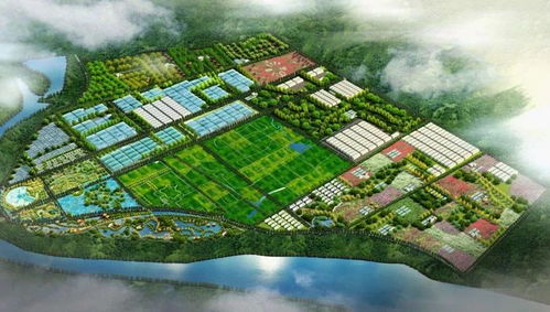 鄉(xiāng)村旅游與休閑農業(yè)開發(fā)的十大誤區(qū)與規(guī)避策略