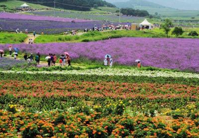 探索休閑農業(yè)多元發(fā)展路徑與科學規(guī)劃之道