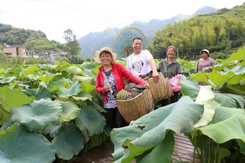 請人民閱卷丨村頭鎮 瞄準新方位，扛起新使命，全面開啟農旅融合新篇章